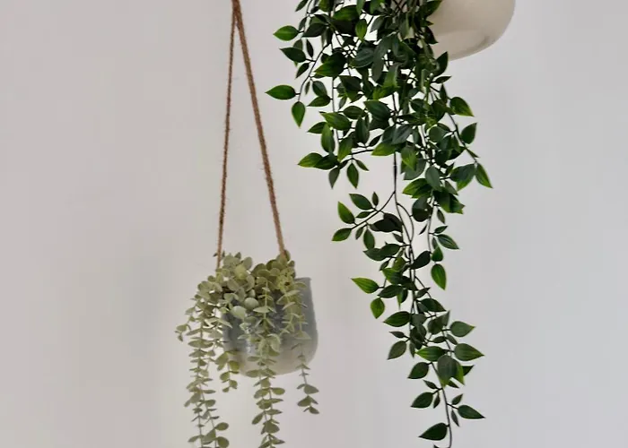 Апартаменты Modernes Im Sueden Leipzigs *